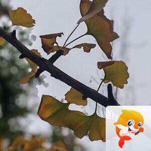 纳兰＿🎤V娱热点