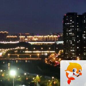 诺娅【美摄视界】