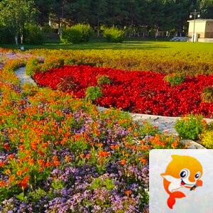 雪儿🎤V娱热点