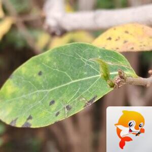 纳兰＿🎤V娱热点