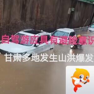 张扬辰
