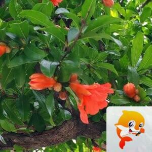 纳兰＿🎤V娱热点