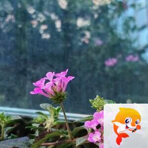 纳兰＿🎤V娱热点