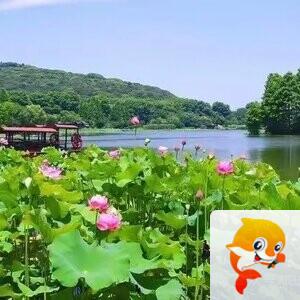夕阳【吟风诵雅赋诗文】