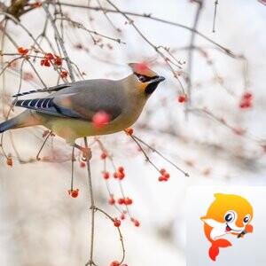 蓝天之友【美摄视界】