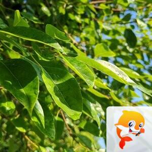 纳兰＿🎤V娱热点