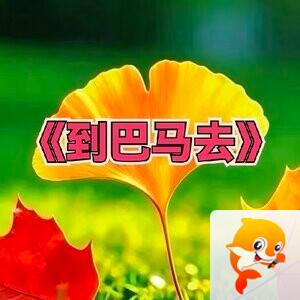 张扬辰