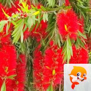 春风〔文声汇影〕