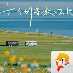 阿莉