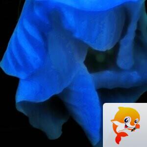 野火烧不尽【美摄视界】