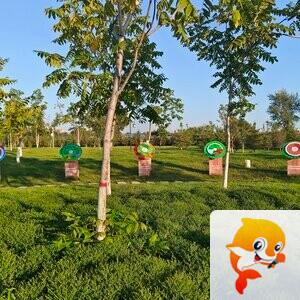 雪儿🎤V娱热点