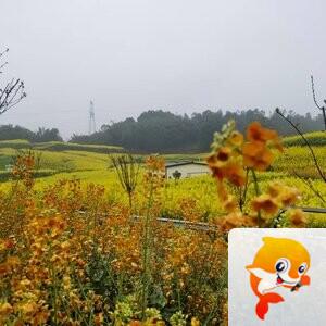 纳兰＿🎤V娱热点