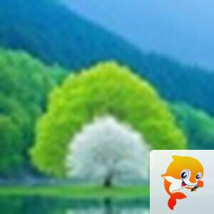 ✾͡别闹❦ཽ冷漠࿐