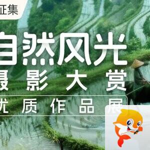 文章官方-心心