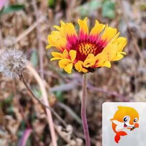 纳兰＿🎤V娱热点