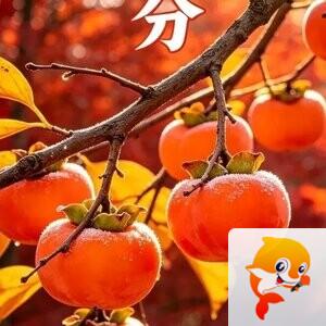 🔥伊龙🔥二徒玫瑰花开