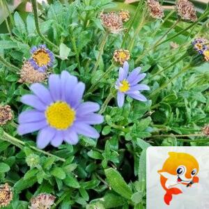 纳兰＿🎤V娱热点