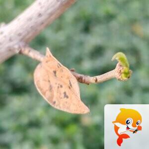 纳兰＿🎤V娱热点