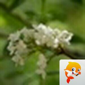 浩然亭【美摄视界】