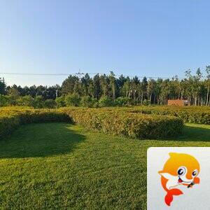 雪儿🎤V娱热点