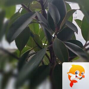 纳兰＿🎤V娱热点