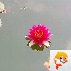 纳兰＿🎤V娱热点