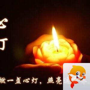 ❄️雪寶《不互动》