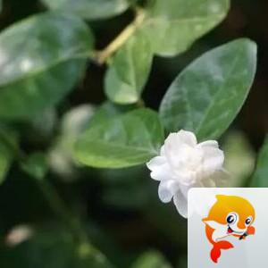 曾经🎤V娱热点