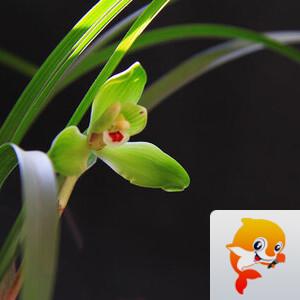 曾经🎤V娱热点