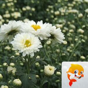 曾经🎤V娱热点