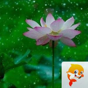 曾经🎤V娱热点