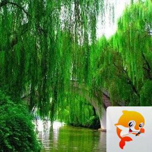 小浅🎤V娱热点