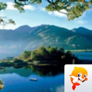 海杨