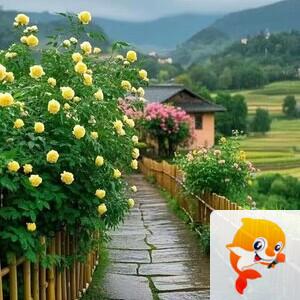 小浅🎤V娱热点