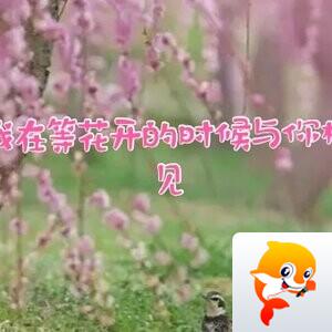 向阳花