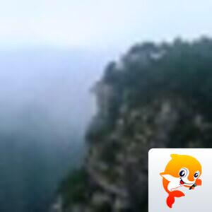 知白守黑【美摄视界】