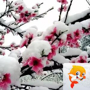 小浅🎤V娱热点