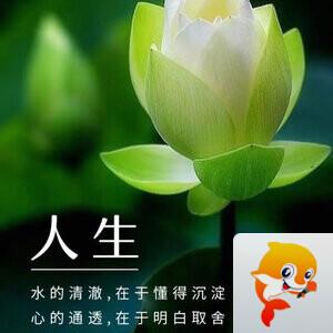 雪儿🎤V娱热点