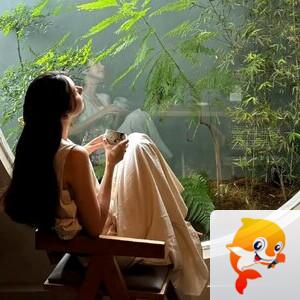 小浅🎤V娱热点