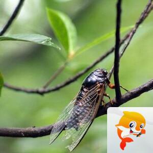 曾经🎤V娱热点