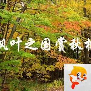 广州劳工【情暖天涯】
