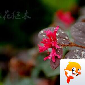 心灵摄影【美摄视界】