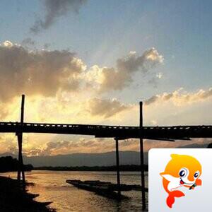 幽兰一箭香(赵放岚)