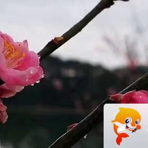 曾经🎤V娱热点