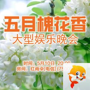 金武🎤V娱热点