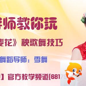 港湾🎤V娱热点