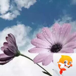 曾经🎤V娱热点