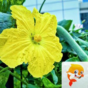 江边翁【美摄视界】