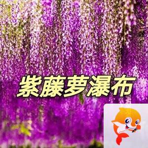 清盈细语