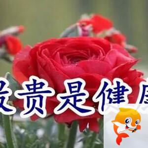 雪儿🎤V娱热点